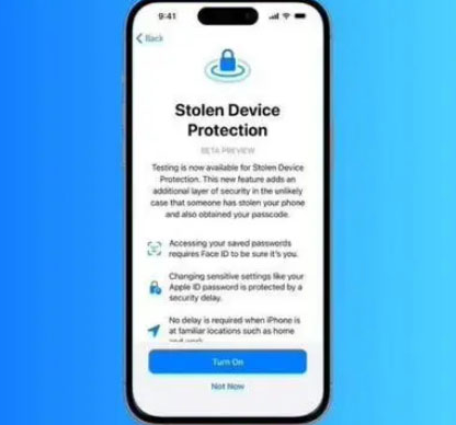 河东苹果授权维修店分享被盗设备保护功能开启方法 