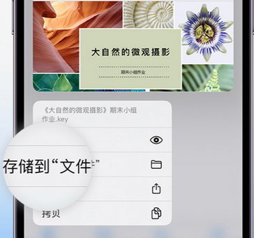 河东apple维修中心分享iPhone文件应用中存储和找到下载文件