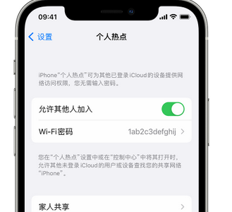 河东apple服务站点分享iPhone上个人热点丢失了怎么办