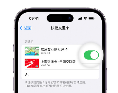 河东apple维修点分享iPhone上更换Apple Pay快捷交通卡手绘卡面 