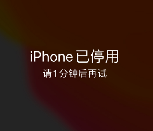 河东苹果手机维修分享:iPhone 显示“不可用”或“已停用”怎么办？还能保留数据吗？ 