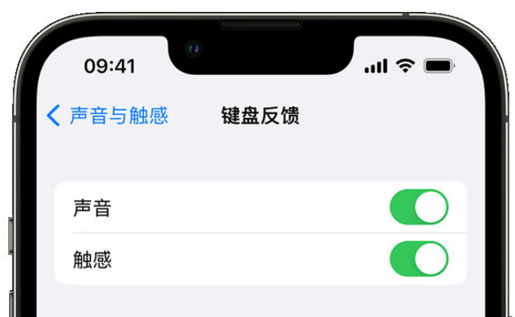 河东苹果手机维修分享iPhone 14触感键盘使用方法 