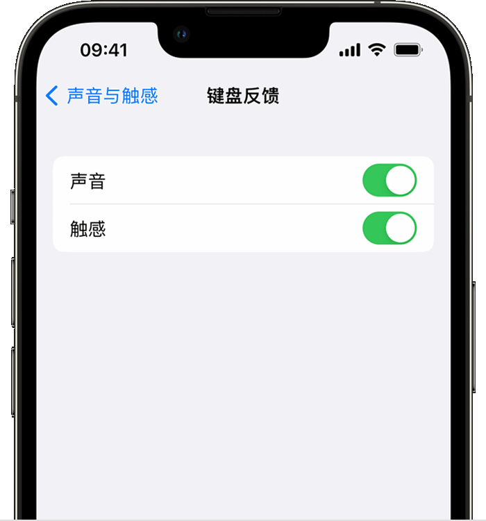 河东苹果14维修店分享如何在 iPhone 14 机型中使用触感键盘 