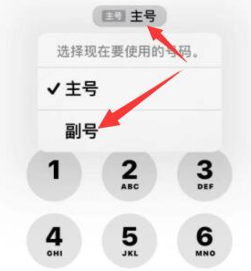 河东苹果14维修店分享iPhone 14 Pro Max使用副卡打电话的方法 