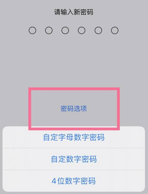 河东苹果14维修分享iPhone 14plus设置密码的方法 