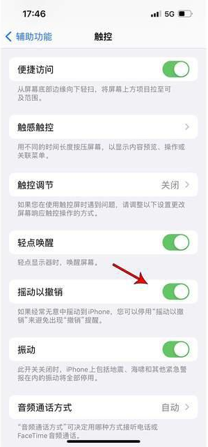 河东苹果手机维修分享iPhone手机如何设置摇一摇删除文字 