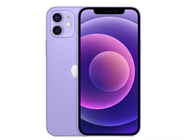 河东苹果手机维修分享现阶段要不要入手紫色版iPhone12 
