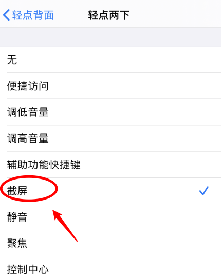 河东苹果手机维修分享iPhone12如何启用双击截屏 