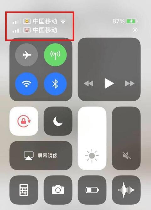 河东苹果手机维修分享为 iPhone 12 双卡设置标签 