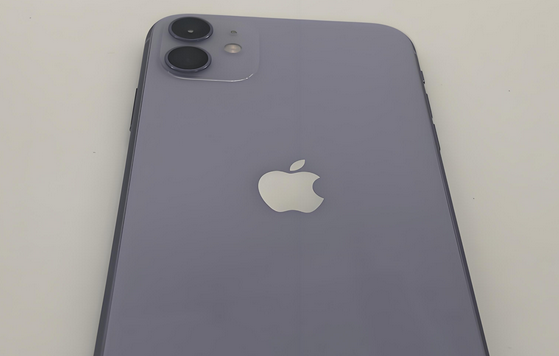 河东苹果11系统维修分享iPhone11手机系统崩溃无法开机如何解决 